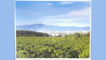 Se vende lote en San Pablo Heredia 26-1401