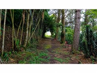 RESIDENTIAL LOT FOR SALE, HEREDIA, SANTA BÁRBARA - 10092455