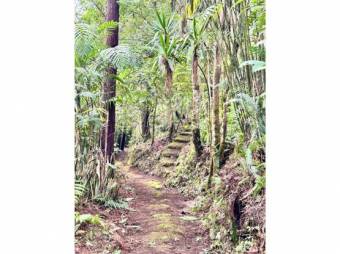 RESIDENTIAL LOT FOR SALE, HEREDIA, SANTA BÁRBARA - 10092455