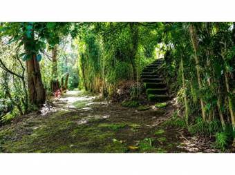 RESIDENTIAL LOT FOR SALE, HEREDIA, SANTA BÁRBARA - 10092455