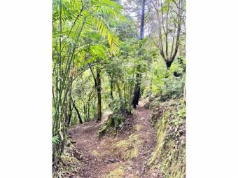 RESIDENTIAL LOT FOR SALE, HEREDIA, SANTA BÁRBARA - 10092455