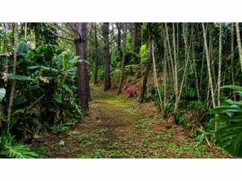 RESIDENTIAL LOT FOR SALE, HEREDIA, SANTA BÁRBARA - 10092455