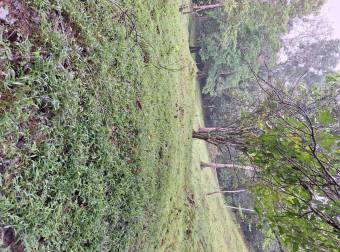 Finca veinte hectáreas 