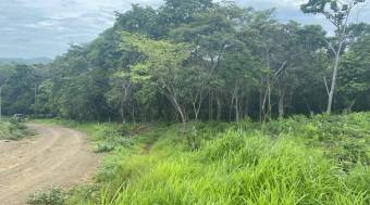 Exceptional Homesite in Rancho Cartagena 