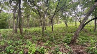 Exceptional Homesite in Rancho Cartagena 
