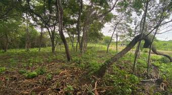 Exceptional Homesite in Rancho Cartagena 