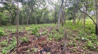 Exceptional Homesite in Rancho Cartagena 