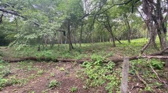 Exceptional Homesite in Rancho Cartagena 