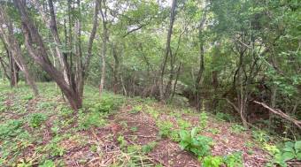 Exceptional Homesite in Rancho Cartagena 