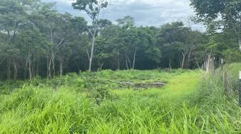 Exceptional Homesite in Rancho Cartagena 