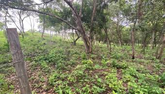 Exceptional Homesite in Rancho Cartagena 