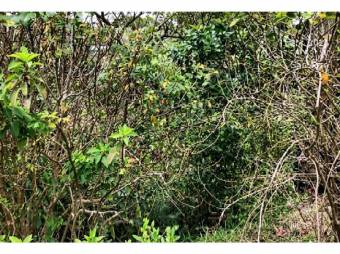 VENTA DE LOTE USO MIXTO, SAN JOSÉ, VÁSQUEZ DE CORONADO, SAN PEDRO - 10081236 VENTA DE LOTE USO MIXTO, SAN JOSÉ, VÁSQUEZ DE CORONADO, SAN PEDRO - 10081236