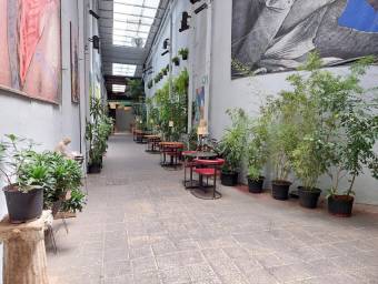 Alquiler de Local Comercial en San José. RAH 25-1509 INVERSIÓN
