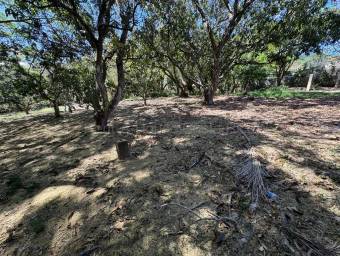 Se vende lote en Piedades Santa Ana 27-56