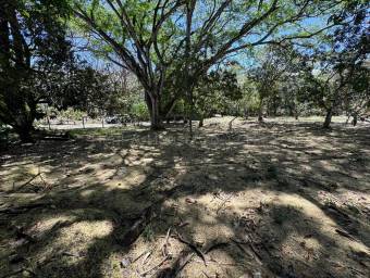 Se vende lote en Piedades Santa Ana 27-56