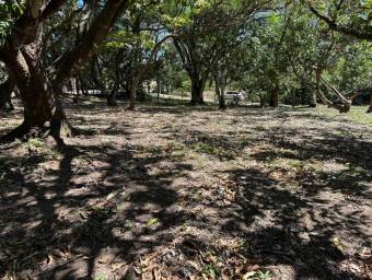 Se vende lote en Piedades Santa Ana 27-56