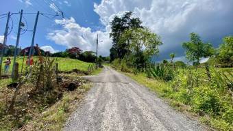Venta de Lote en Paraíso de Cartago. RAH 27-28 Venta de Lote en Paraíso de Cartago. RAH 27-28