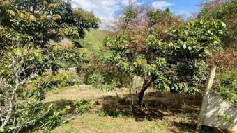 Venta de Lote en Paraíso de Cartago. RAH 27-28 Venta de Lote en Paraíso de Cartago. RAH 27-28