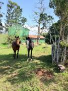 LOT FOR SALE IN CARTAGO 4500m2