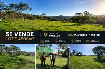 LOT FOR SALE IN CARTAGO 4500m2