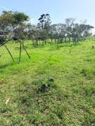 LOT FOR SALE IN CARTAGO 4500m2