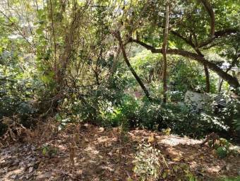 Venta de Lote en Piedades de Santa Ana. RAH 27-69 INVERSIÓN