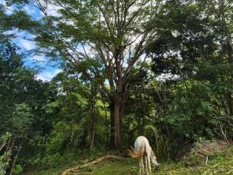 Venta de Finca en Acosta-Guaitil Villa. RAH 27-72