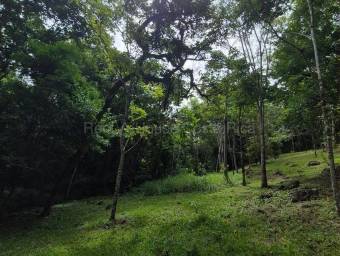 Venta de Finca en Acosta-Guaitil Villa. RAH 27-72