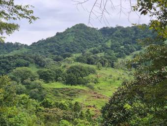 Venta de Finca en Acosta-Guaitil Villa. RAH 27-72