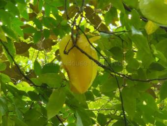 Venta de Finca en Acosta-Guaitil Villa. RAH 27-72
