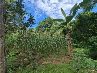 Venta de Finca en Acosta-Guaitil Villa. RAH 27-72