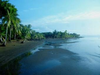 Venta de Cabinas en Golfito-Puerto Jiménez, Puntarenas. RAH 27-34 INVERSIÓN