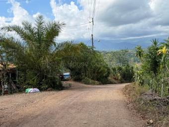 Venta de Lote en Pérez Zeledón-Daniel Flores, San José. RAH 27-91