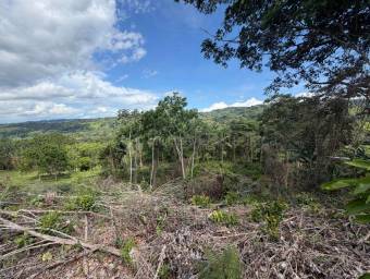 Venta de Lote en Pérez Zeledón-Daniel Flores, San José. RAH 27-91