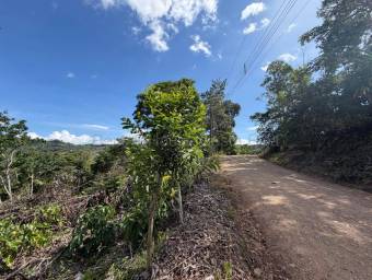 Venta de Lote en Pérez Zeledón-Daniel Flores, San José. RAH 27-91