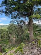 Venta de Lote en Pérez Zeledón-Daniel Flores, San José. RAH 27-91