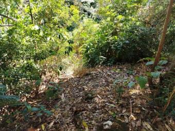 Venta de Lote en Piedades de Santa Ana. 