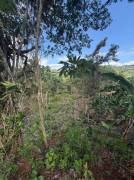 Venta de Lote en Pérez Zeledón-Daniel Flores, San José. RAH 27-91