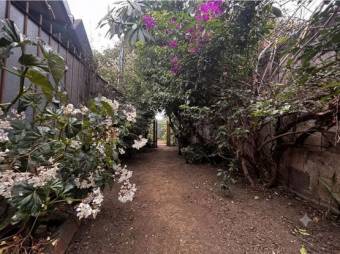 VENTA DE DOS CASAS, SAN JOSÉ, TIBÁS, LEÓN XIII (ZONA COMERCIAL) - 10135851