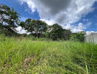 Venta de Espectacular Lote de Terreno en San Pablo de Turrubares / Mls. 26-1316 OFC JB
