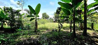 Lot for sale in Guápiles, Limón. Code LV5342