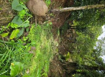SE VENDE REFUGIO AUTOSOSTENIBLE CON NACIENTES DE AGUA Y VISTAS A LA MONTAÑA