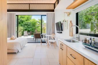 Unique Property in Matapalo with Proven Vacation Rental Income