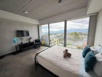En Venta Apartamento Tipo Loft amueblado #26-2225 GS