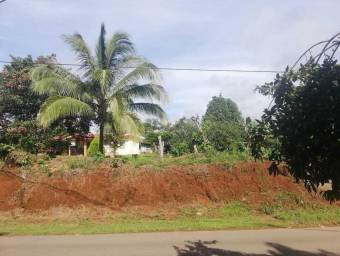 Venta de Lote en Pérez Zeledón-San Pedro. RAH 25-259 PRECIO REBAJADO