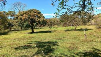 Venta de Lote en Desamparados-San Miguel. RAH 25-1406 