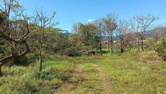 Venta de Lote en Desamparados-San Miguel. RAH 25-1406 