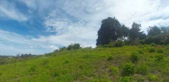 Terreno con vista panoramica, Concepcion de San Rafael, 2,995 mts2