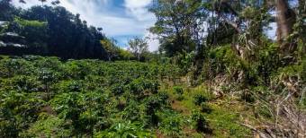 Lot for sale, Concepcion de San Rafael 1,741 sq. mtrs. Lot for sale, Concepcion de San Rafael 1,741 sq. mtrs.