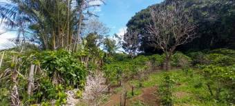 Lot for sale, Concepcion de San Rafael 1,741 sq. mtrs. Lot for sale, Concepcion de San Rafael 1,741 sq. mtrs.